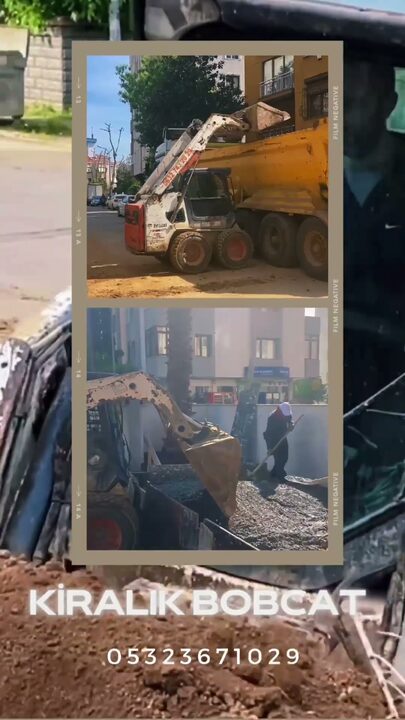Bobcat Nedir — Çalışma Alanları