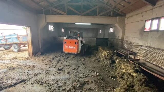 Bobcat Mini Yükleyici ile Çiftlik İşleri